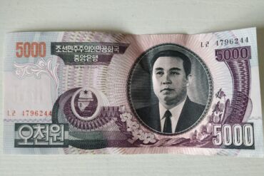 North Korean won